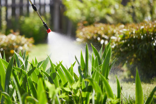 Tamper-Resistant Bait Stations for Rodents in Long Grove