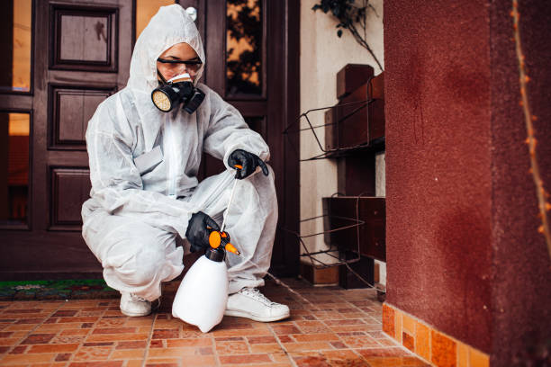 Attic and Crawl Space Rodent Treatment in Long Grove