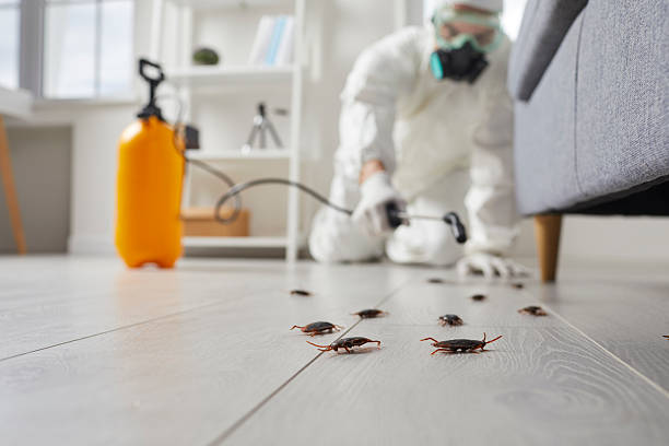 Commercial Rodent Management in Long Grove